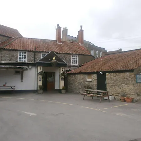 The Swan