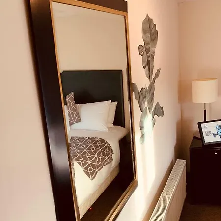 The Swan 3*